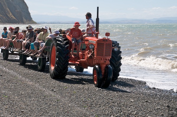 NewZealand 09 10  062